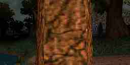 Bilinear filtering on tree bark. Blurry, not like Minecraft (point-filtered/nearest neighbor).