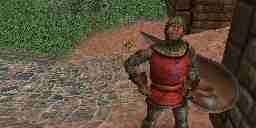 A guard of Britain town looks at the Avatar. The guard is carrying a shield and stands near the town gate.