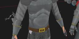 A man in full iron armor with a horned helm.